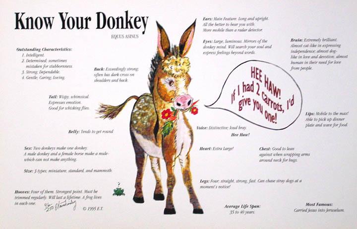 Print - 'Know your Donkey'