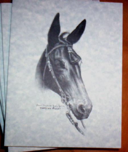 Card - Blank  - Bridled Mule