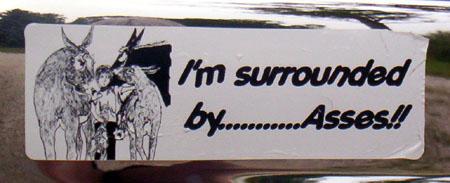 Bumper Sticker - I'm surrounded by ...... Asses!