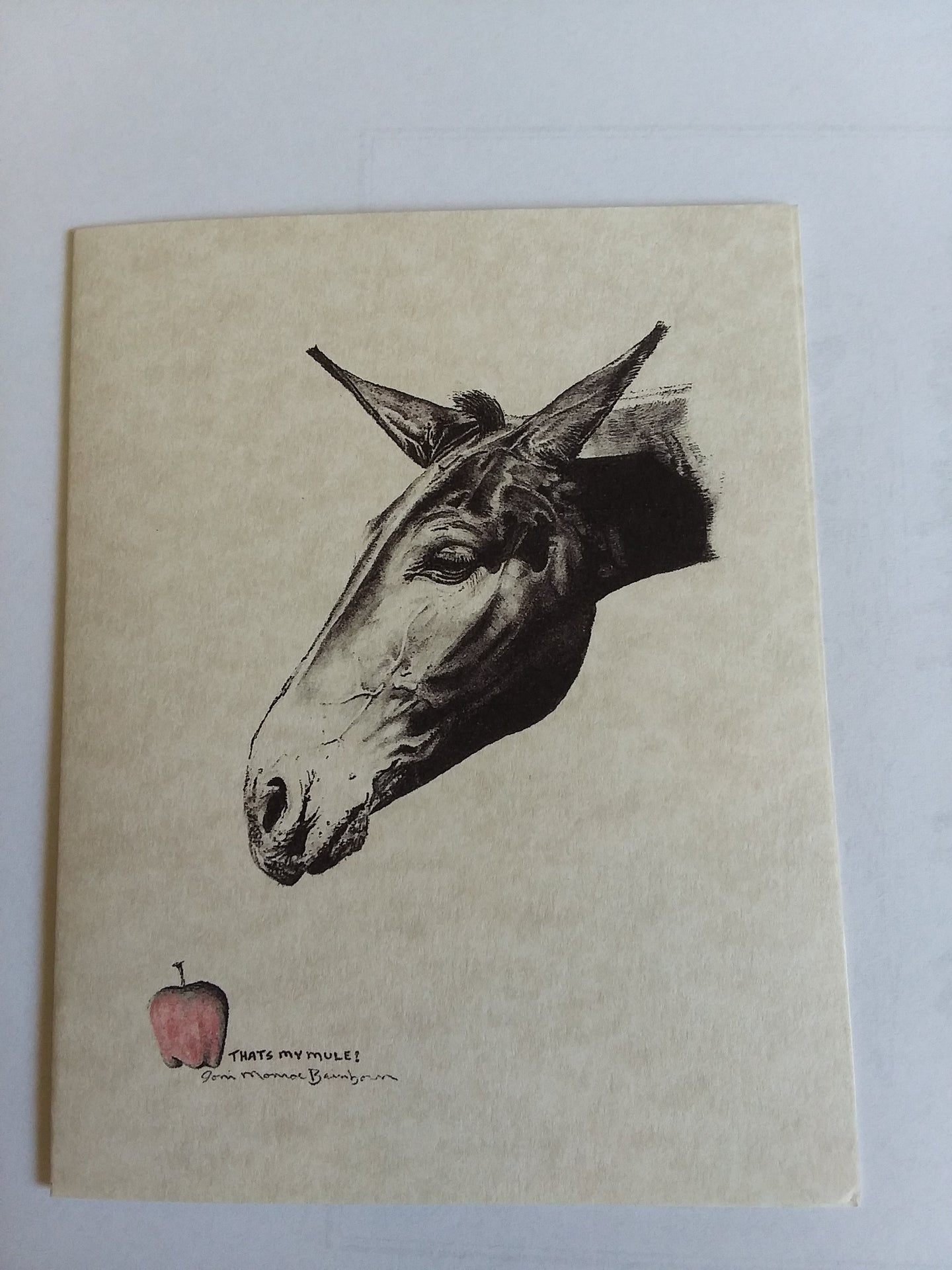 Card - Blank card - Mule with Apple