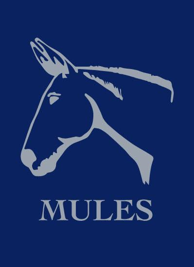 Playing Cards - Mule