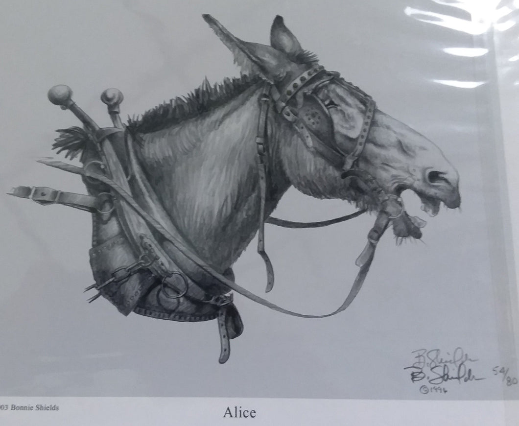 Print - Alice