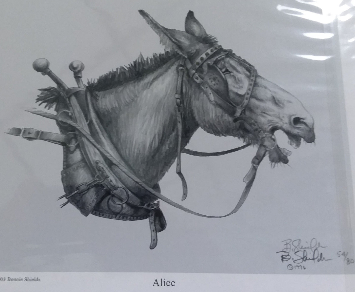Print - Alice