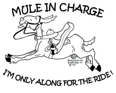 Special Order - Sweatshirt - Mule In Charge I'm Only Along For the Ride