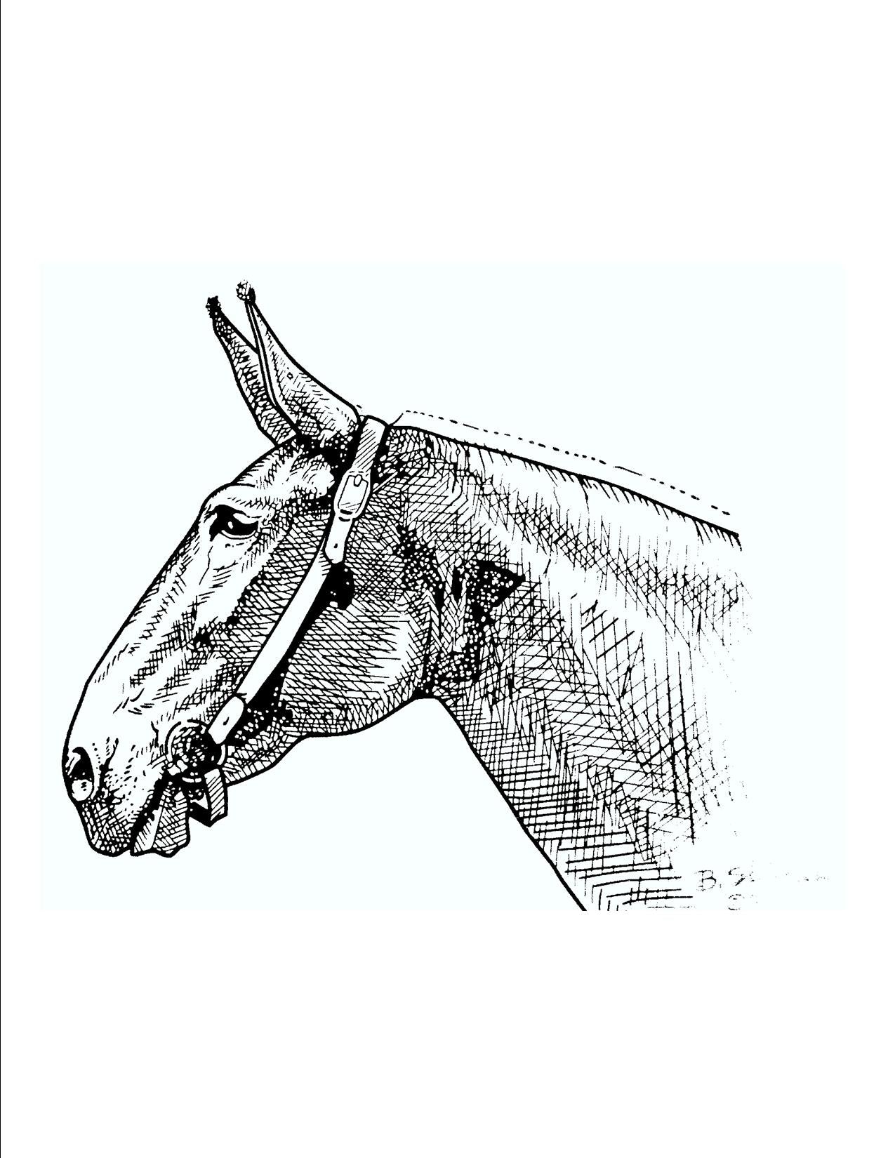 T Shirt - "Mule Head" – The Mule Store