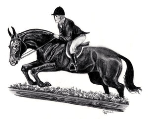 Sweatshirt - English Jumping Mule