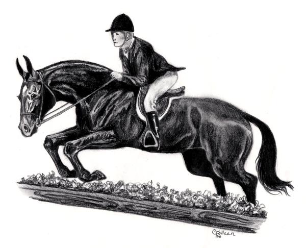 Sweatshirt - English Jumping Mule