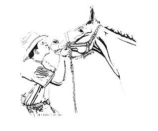 T Shirt - Kisses