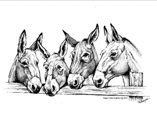 T shirt - Four Mules – The Mule Store