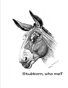 T Shirt - "Stubborn"