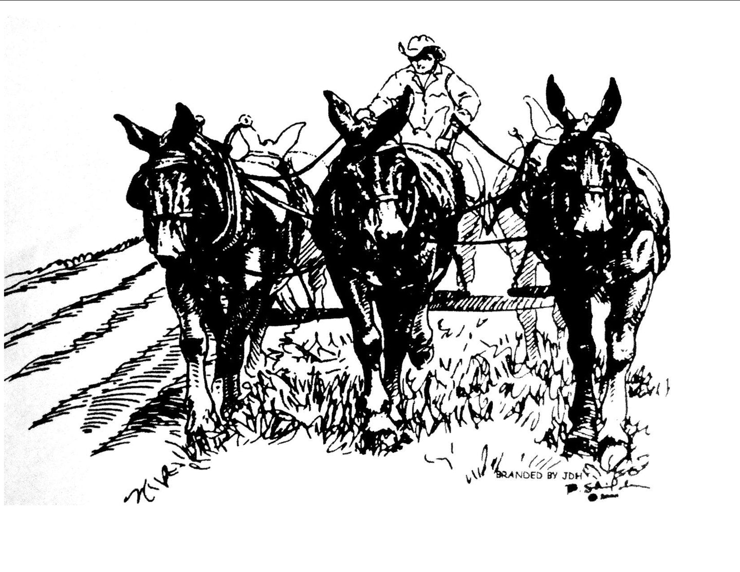 T shirt - 3 Mules with Plow