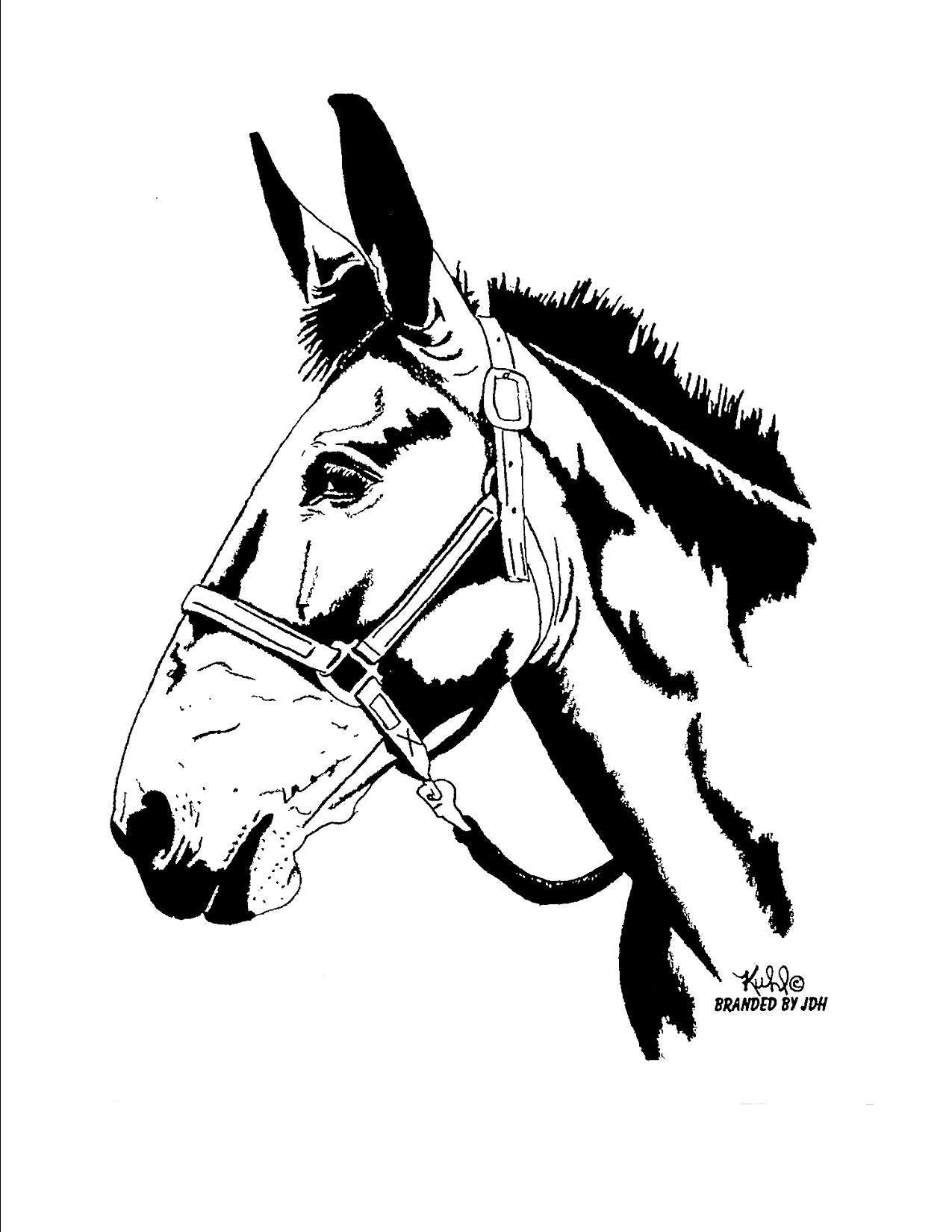 T shirt - Haltered Mule Head