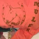 Load image into Gallery viewer, Hoodie - Orange Zip up - Mule